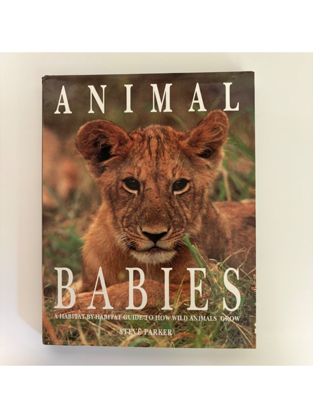 Animal Babies By Steve Parker Hardcover Book Nature Wildlife Photography